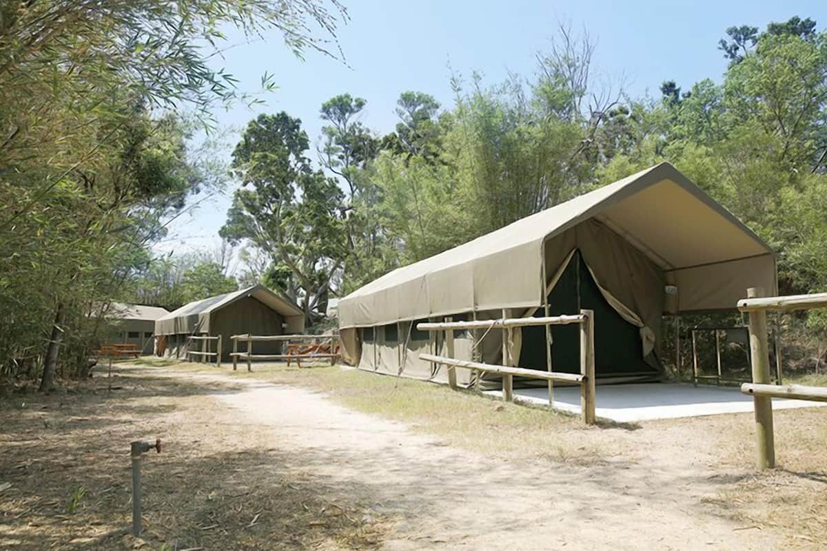 Family Cabin, Multiple Beds, Non Smoking