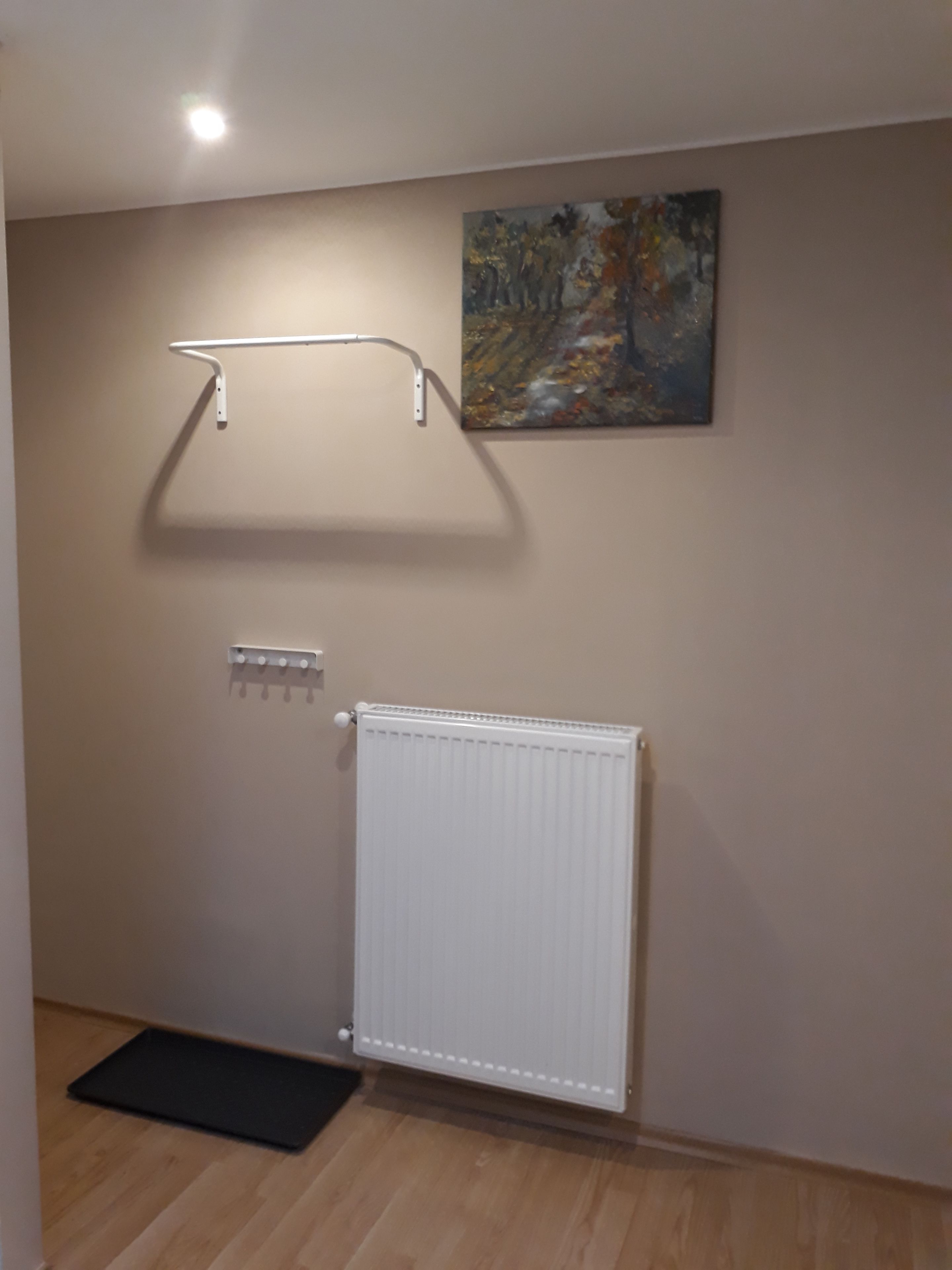 A room with a radiator, a coat rack, a painting, and a doormat.