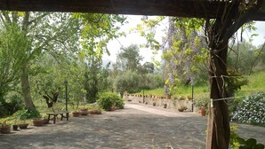 Un patio empedrado con plantas en macetas y un banco de madera.