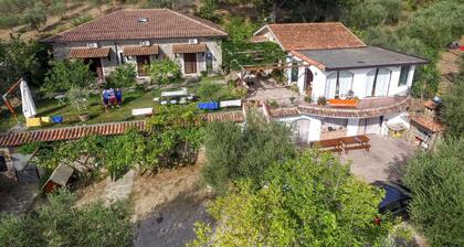 La Gabbianella e il Gatto