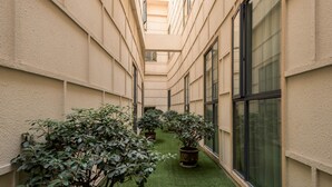 Un couloir étroit, avec un revêtement de gazon synthétique, des plantes en pot et de grandes fenêtres d’un côté.