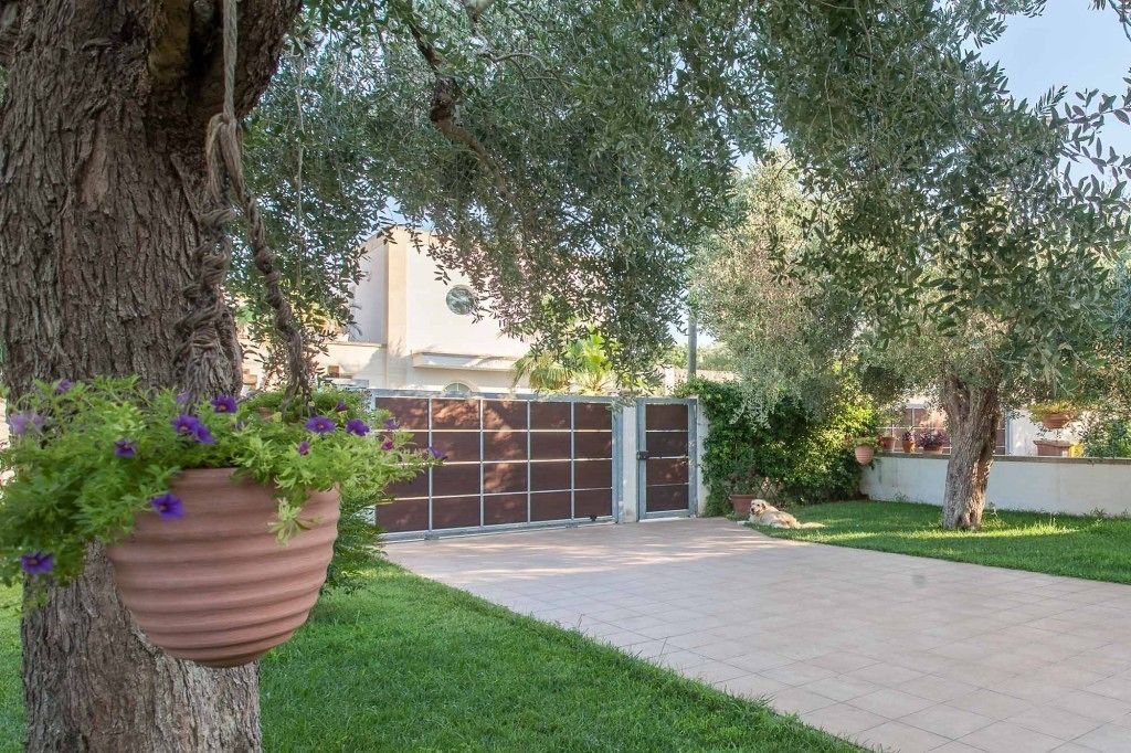 A paved patio area with a tree and a hanging flower pot.