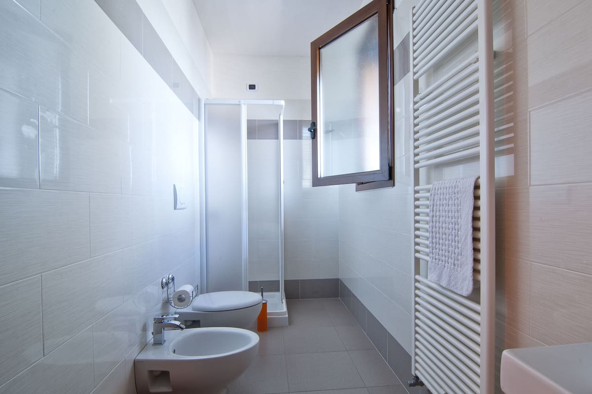 Shower, hair dryer, bidet, towels