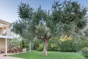 Garden - Giardino dei Suoni B&B (Melendugno)