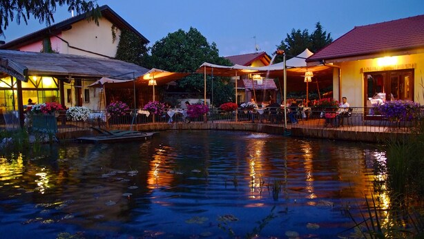 A riverside restaurant with outdoor seating and a pond. - Agriturismo Cascina Madonnina (Pregnana Milanese)
