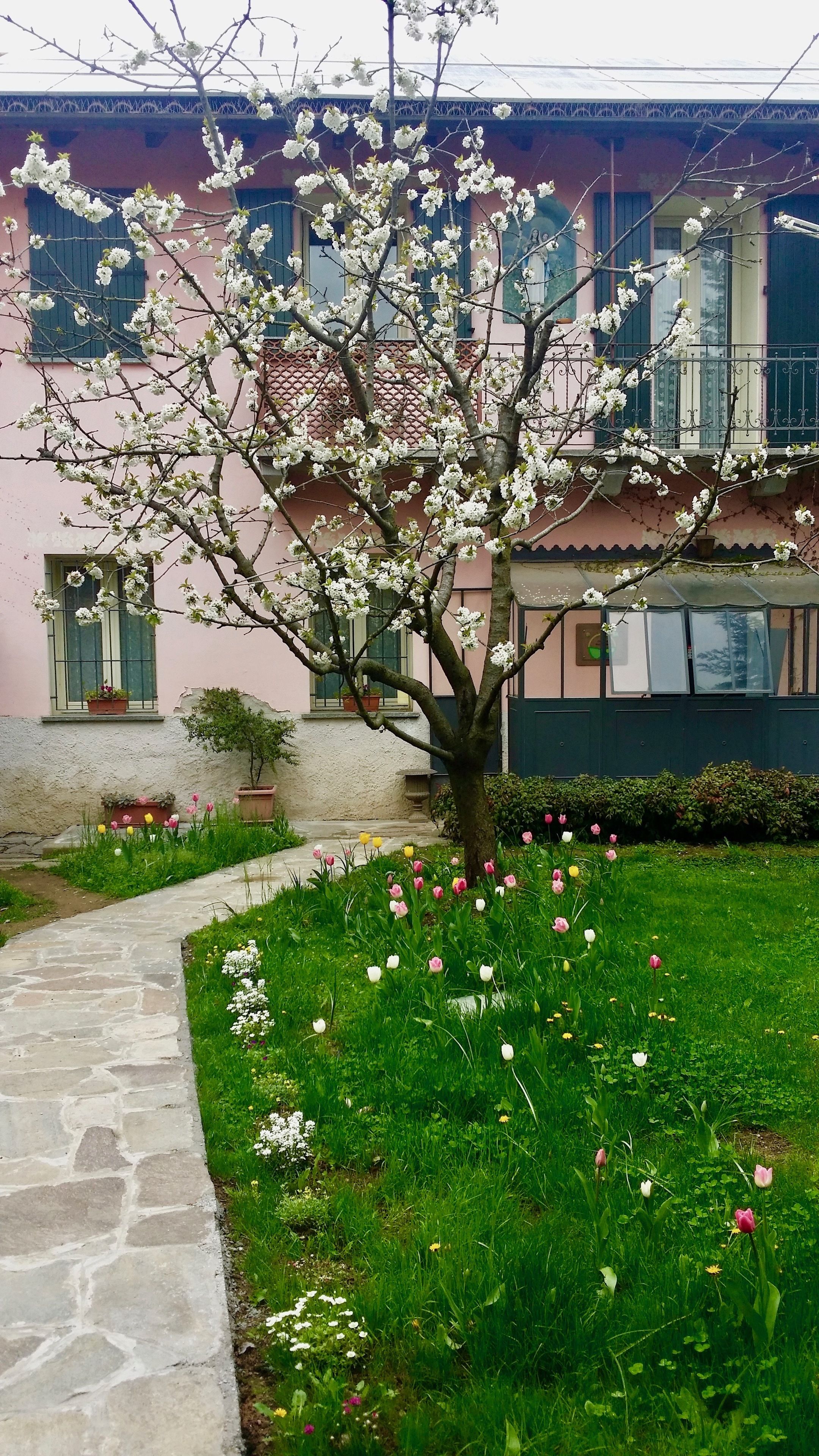 Vista desde la habitación