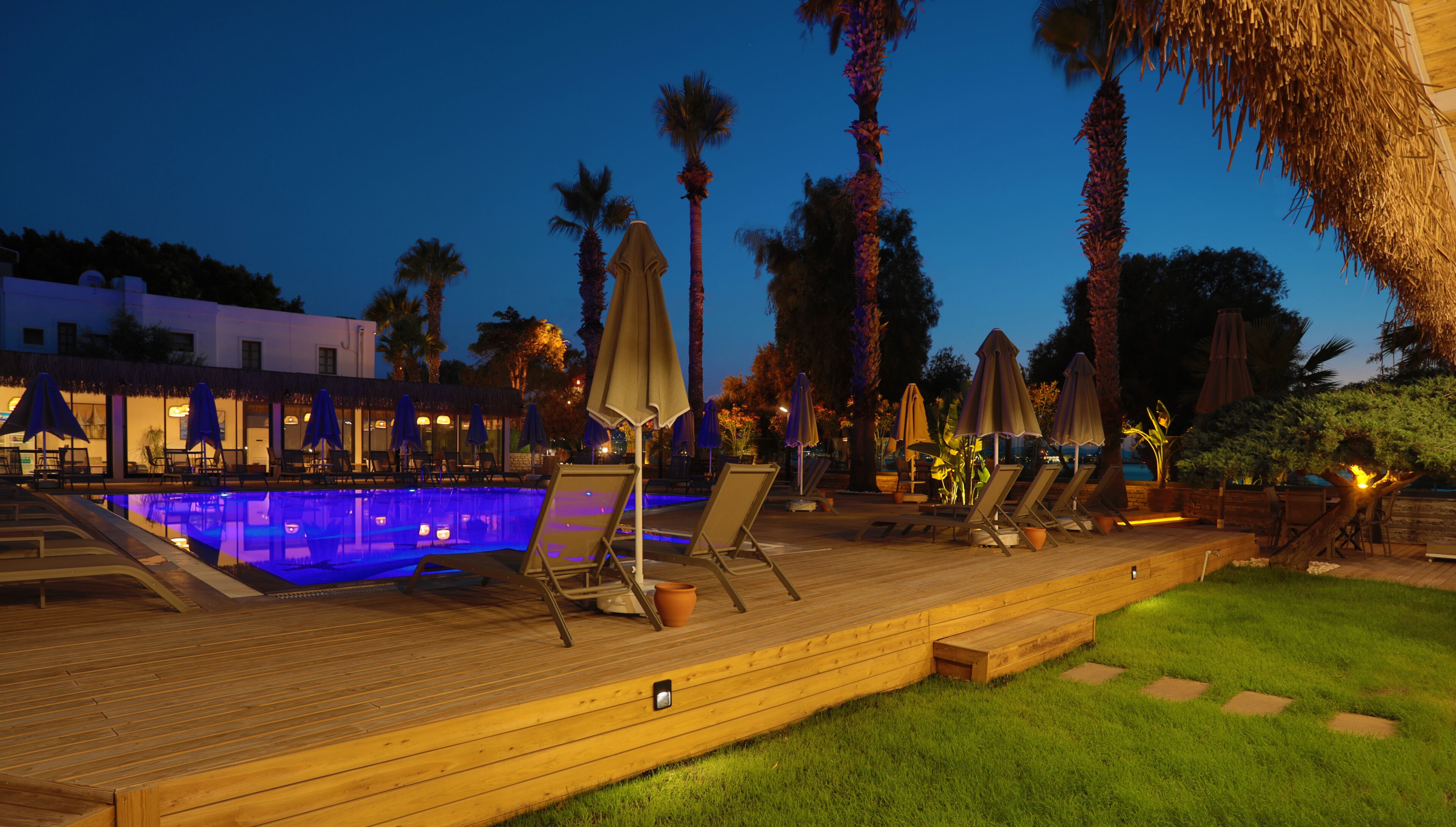 Un espace piscine agrémenté de chaises longues et de parasols, entouré de palmiers et doté d’une terrasse en bois.