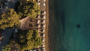 Vista aérea de una playa con hileras de sombrillas y sillas, árboles y un mar azul cristalino.