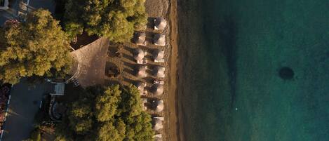 An aerial view of a beach with rows of umbrellas and beach chairs, trees, and a clear blue sea.