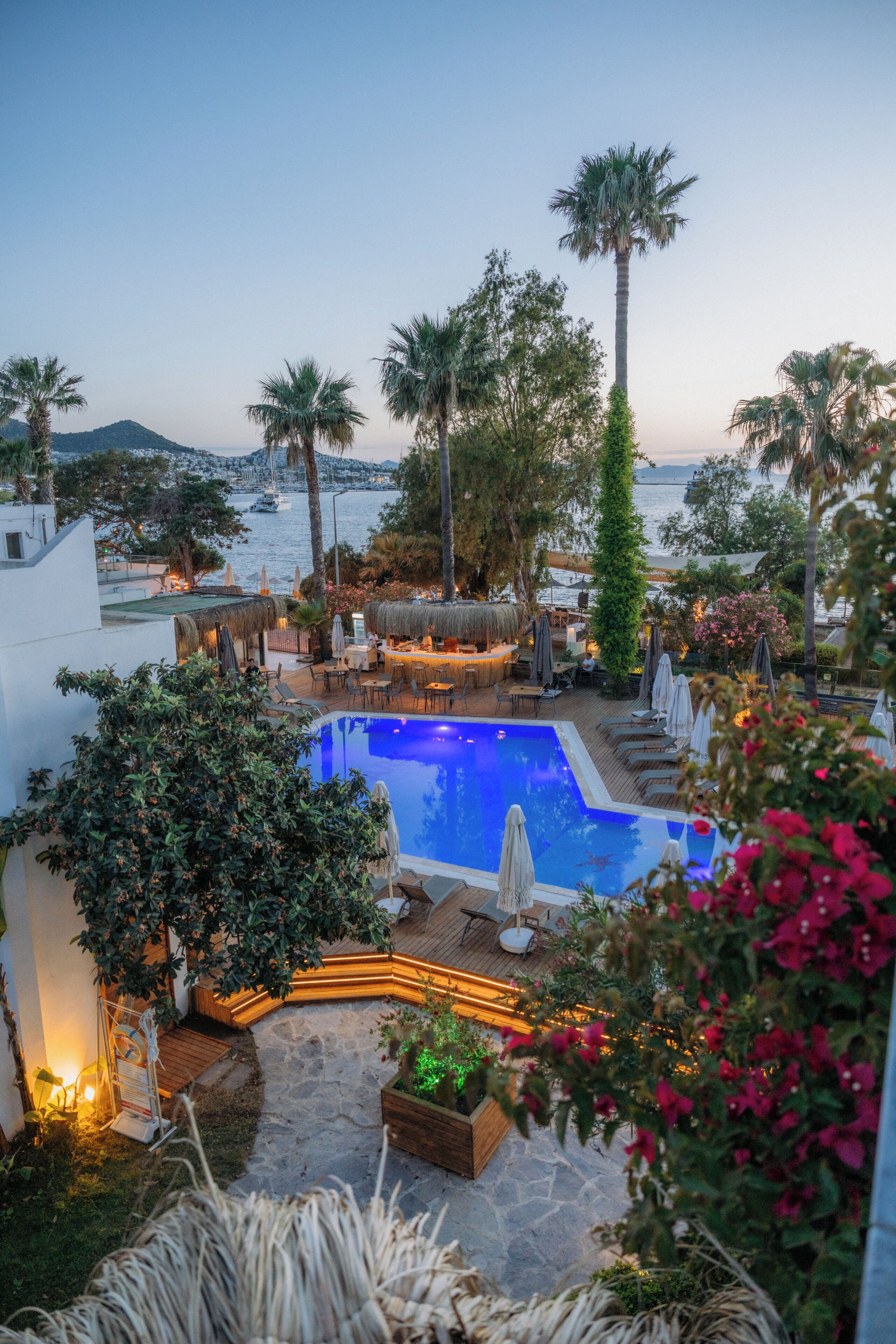 A pool area with a view of the sea, surrounded by palm trees and outdoor seating.