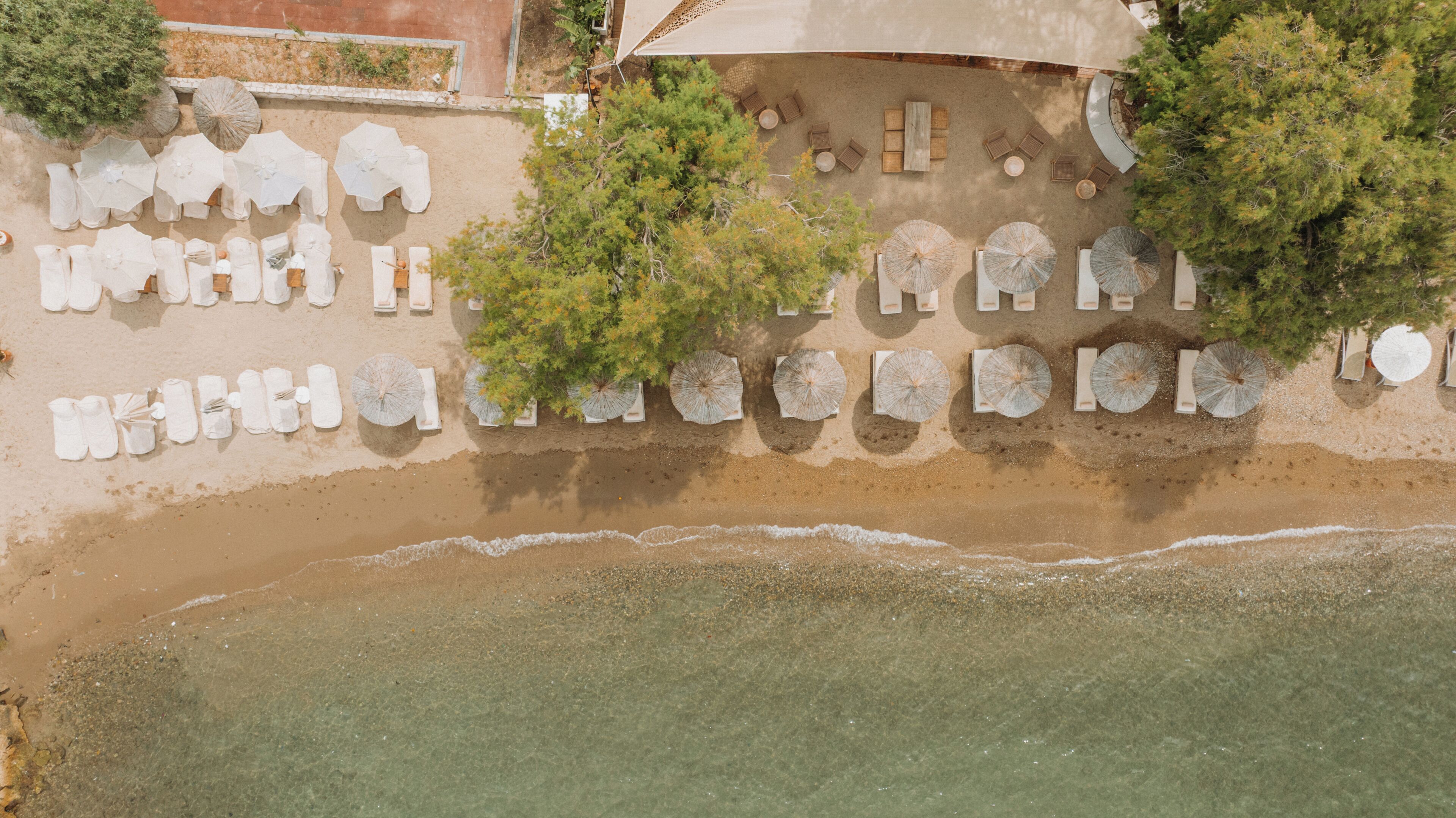 Vue aérienne d’un hôtel situé en bord de mer, avec des transats et des parasols disposés le long de la plage, un bâtiment doté d’un toit incurvé et un arbre en arrière-plan.