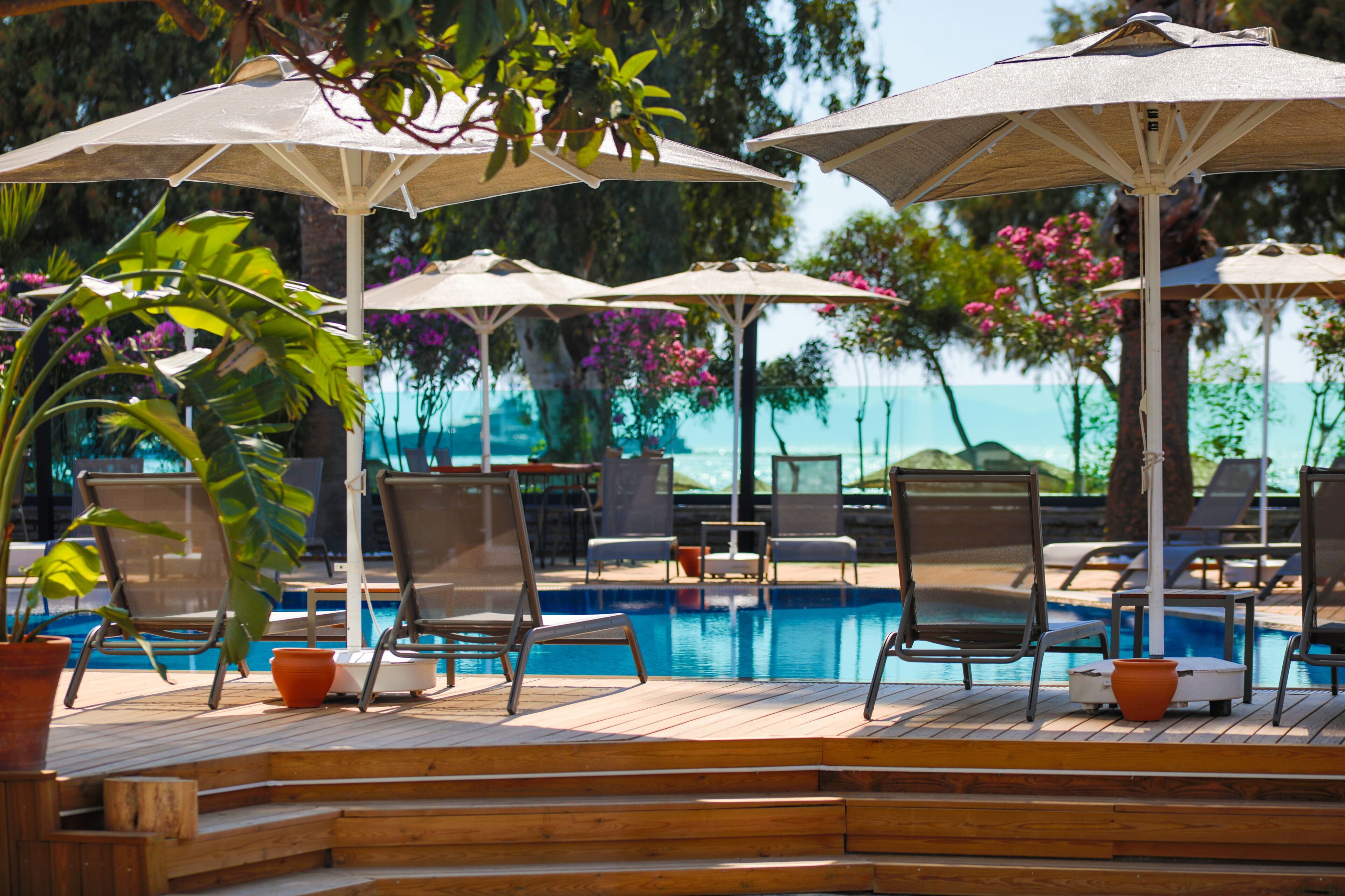 Uma área na beira da piscina com espreguiçadeiras e guarda-sóis, cercada por plantas em vasos e vista para o oceano.