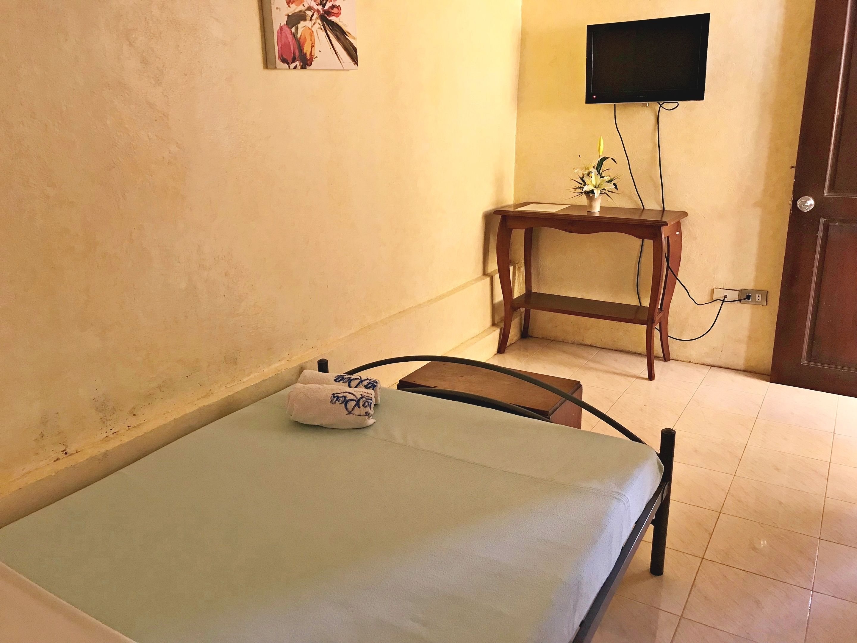 Un lit simple avec un oreiller, une petite table avec une plante, un téléviseur fixé au mur et une porte.