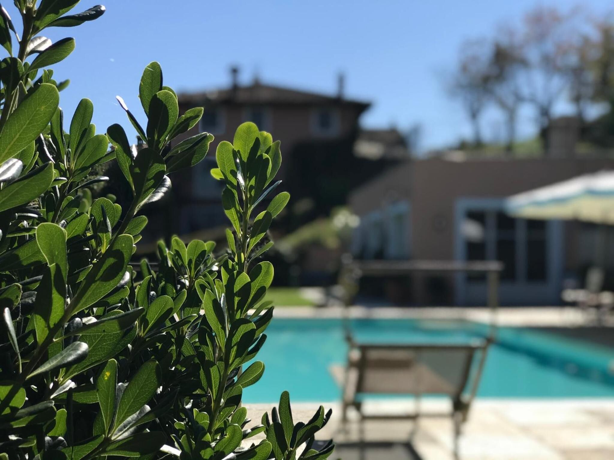A pool area with a clear view of the pool, lounge chairs, and a building in the background.