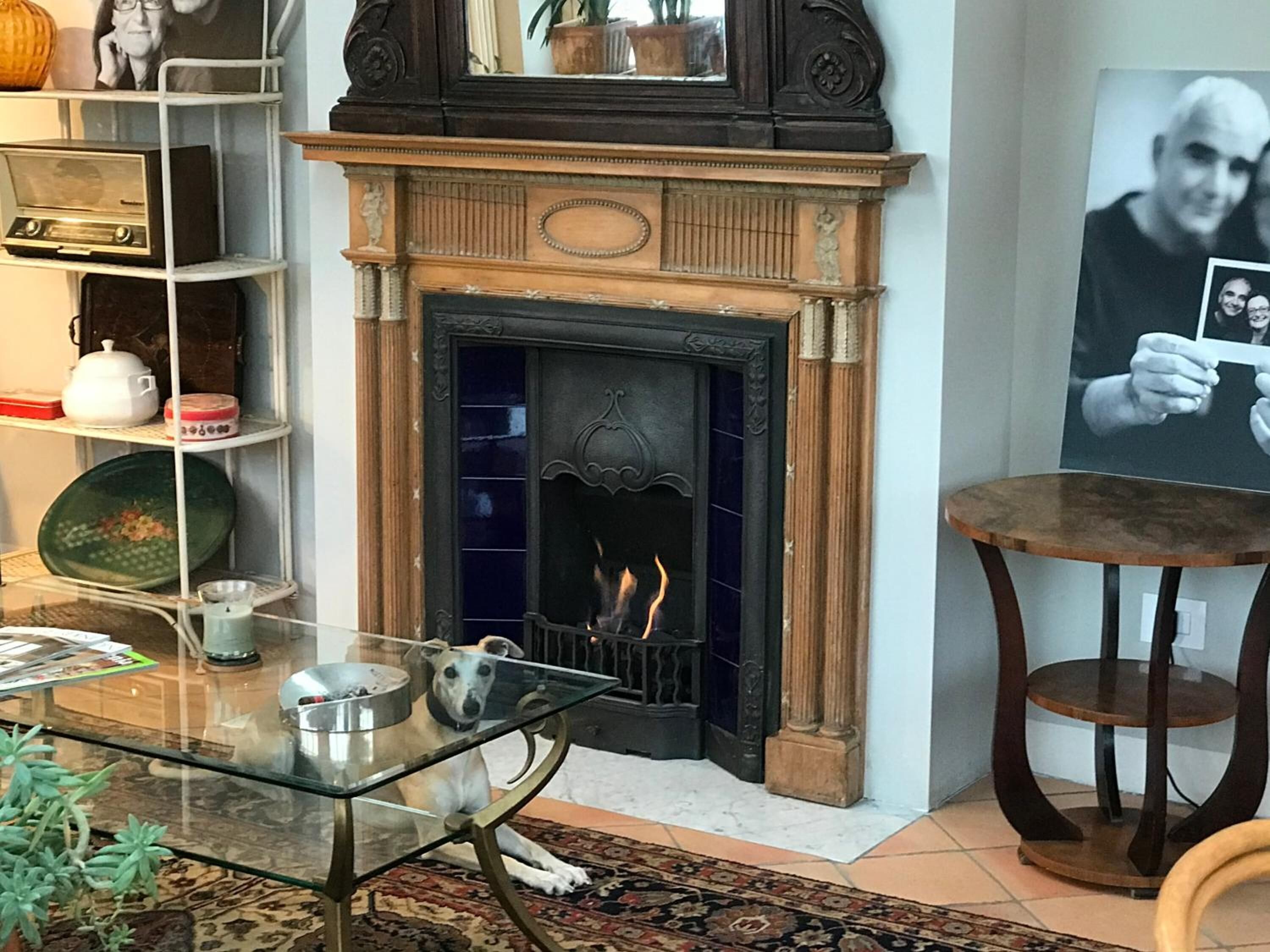 Una sala de estar acogedora con chimenea, una mesa de vidrio y un perro, además de una estantería.