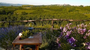 Une table avec un verre de vin rouge et des fleurs, placée devant un vignoble où l’on aperçoit des fleurs violettes et un ciel dégagé.
