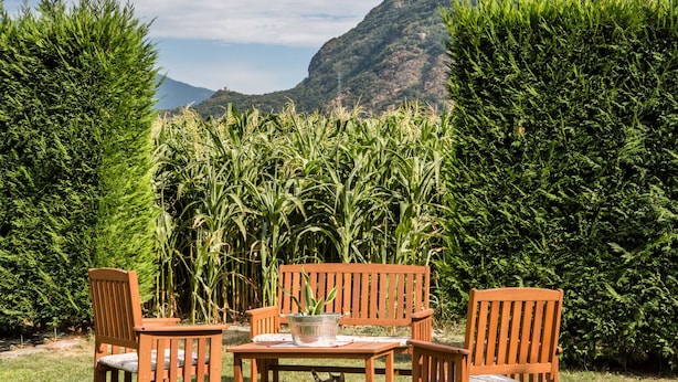 Un patio con sillas y mesa de madera, rodeado de plantas verdes altas y una montaña al fondo.