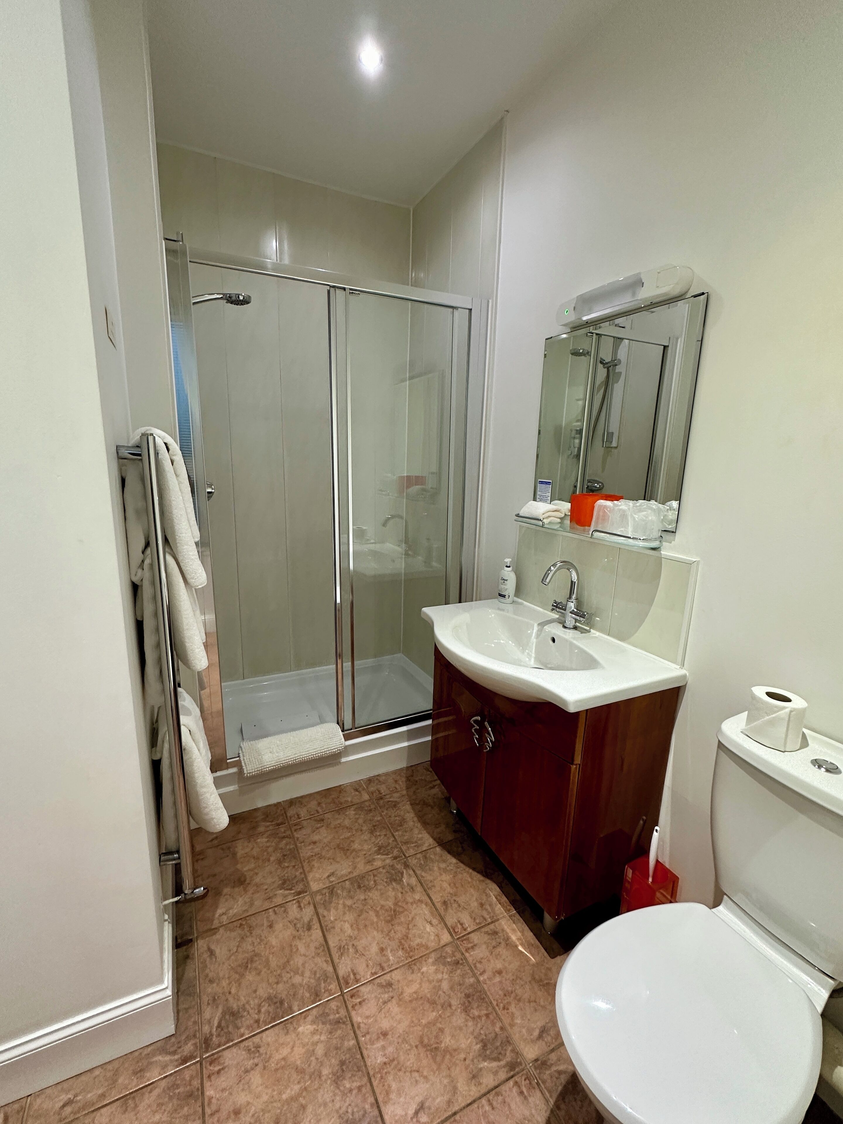 A bathroom with a glass-enclosed shower, a white sink, a mirror, and a toilet.
