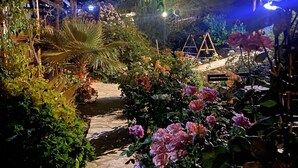 A nighttime garden with a stone pathway, various plants, and a wooden structure. - 7 Green Adrasan (Kumluca)