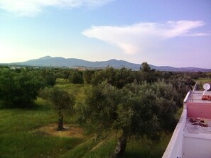 Superior-Ferienhaus, 1 Schlafzimmer, Blick auf den Weinberg | Ausblick vom Zimmer