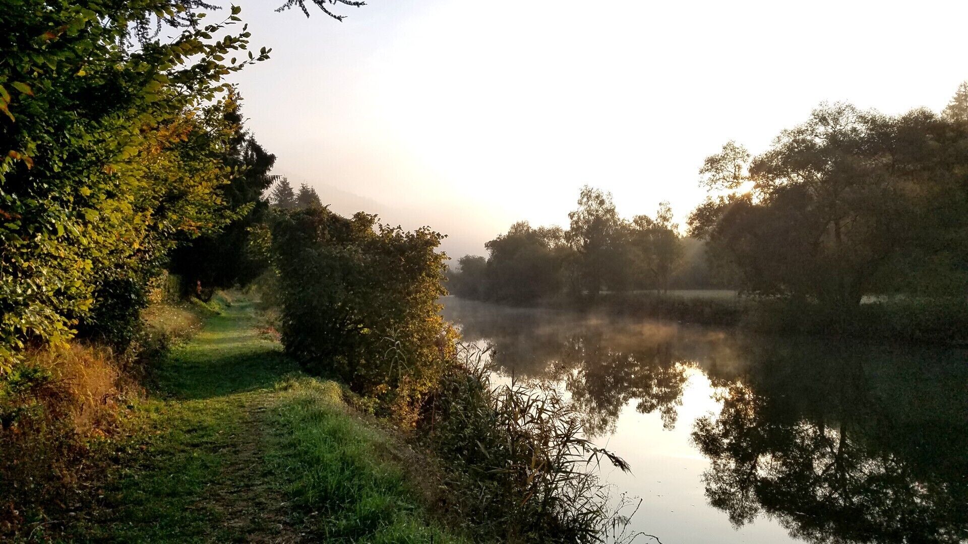 Un paisaje tranquilo a orillas del río, con abundante vegetación y una masa de agua calma que refleja los árboles.