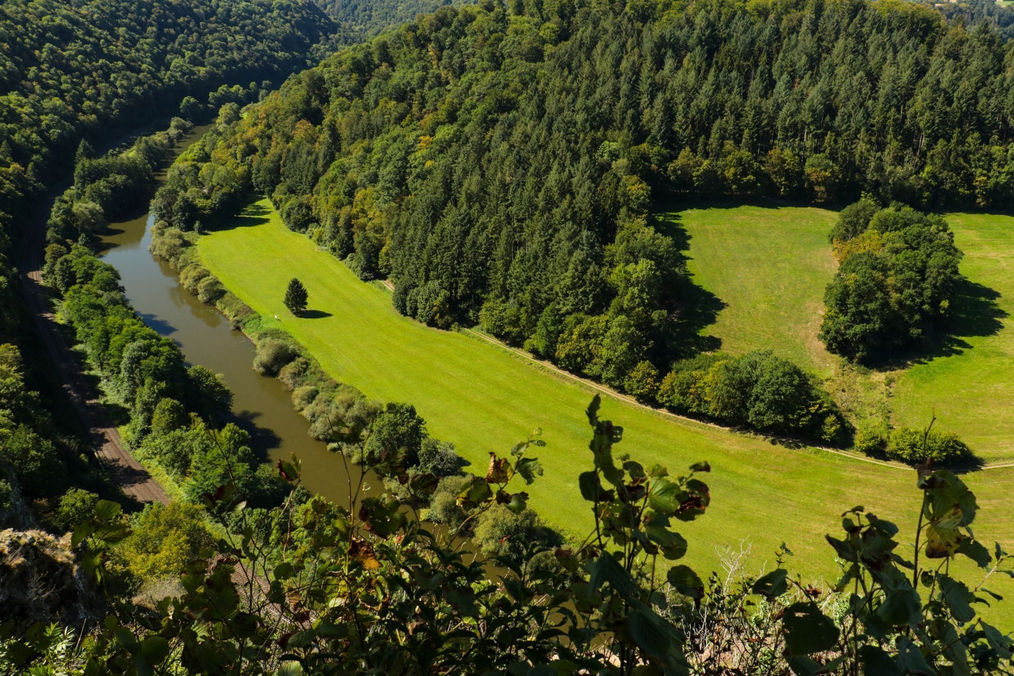 An aerial view of a lush green landscape with a river, dense forest, and open grassy areas.
