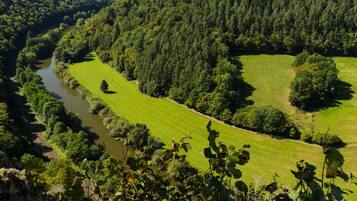 An aerial view of a lush green landscape with a river, dense forest, and open grassy areas.