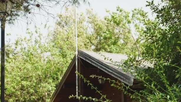 A wooden cabin with a sloped roof, surrounded by dense greenery and a stone staircase leading up to the entrance. - Bungalows Los Pedregales (Estepona)