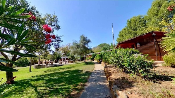 A pathway leading to a rustic wooden building surrounded by lush greenery and flowering plants.