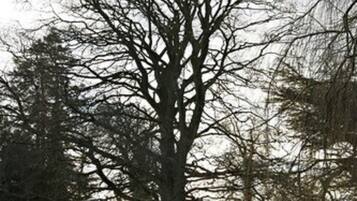 Vista desde la propiedad