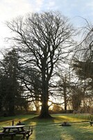 Vista desde la propiedad