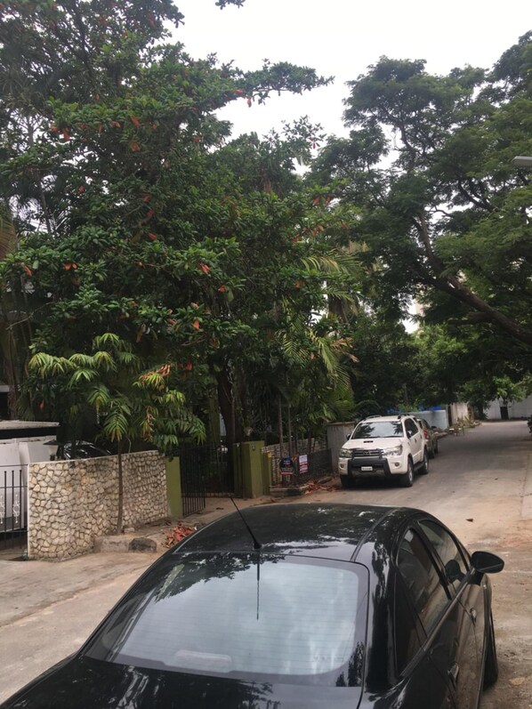 Una calle residencial con coches aparcados y abundante vegetación.