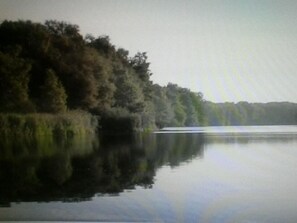 A calm lake with dense forest on one side. - Landhotel Linden am Venekotensee (Niederkruechten)