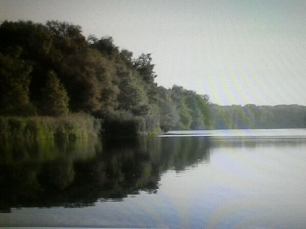 A calm lake with dense forest on one side.