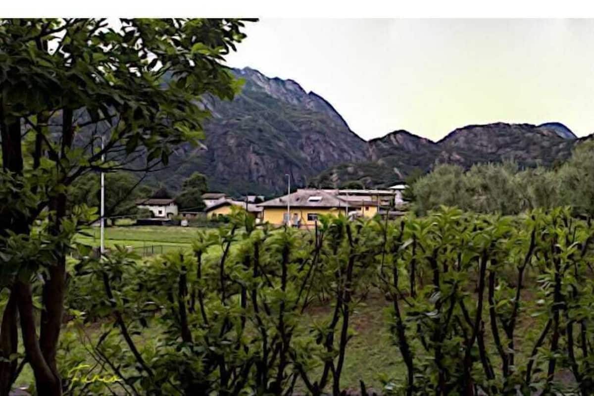 A rural setting with a house surrounded by lush greenery and mountains in the background.