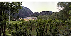 Twin Room, Mountain View | Desk, iron/ironing board, free WiFi, bed sheets