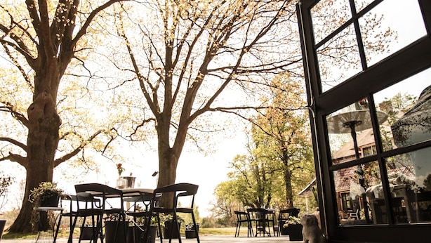 Een terras met tafels en stoelen, omringd door bomen, en een uitzicht door een groot raam.