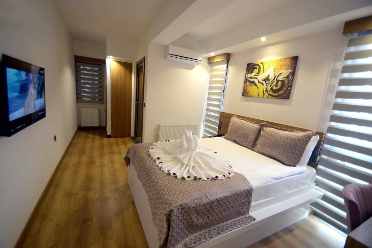 A hotel room with a bed, a TV, an air conditioner, a radiator, and a painting on the wall.