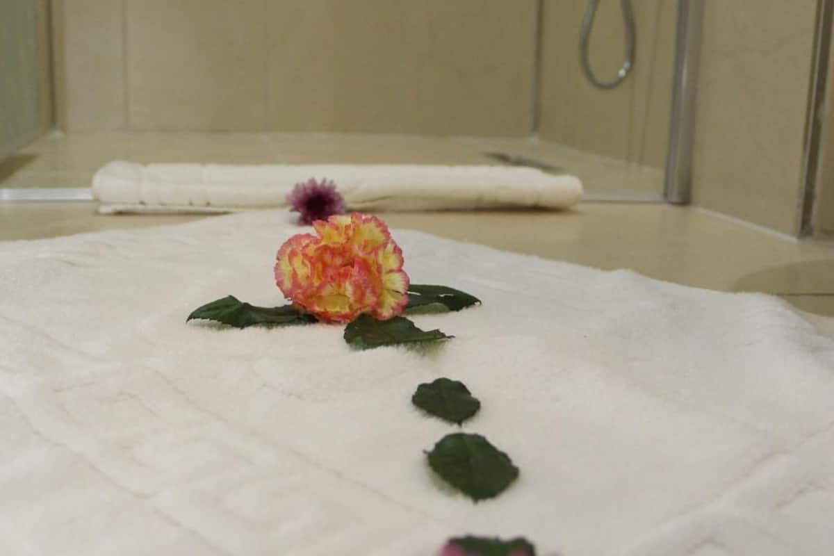 shower, rainfall showerhead, free toiletries, hair dryer