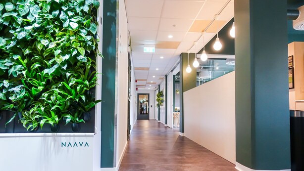 Een moderne hal met een groene wand, een wit receptiebalie en een lange gang.