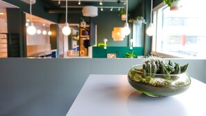 Een modern interieur met een helder zicht op een tafel met een glazen schaal met cactussen en decoratieve stenen.