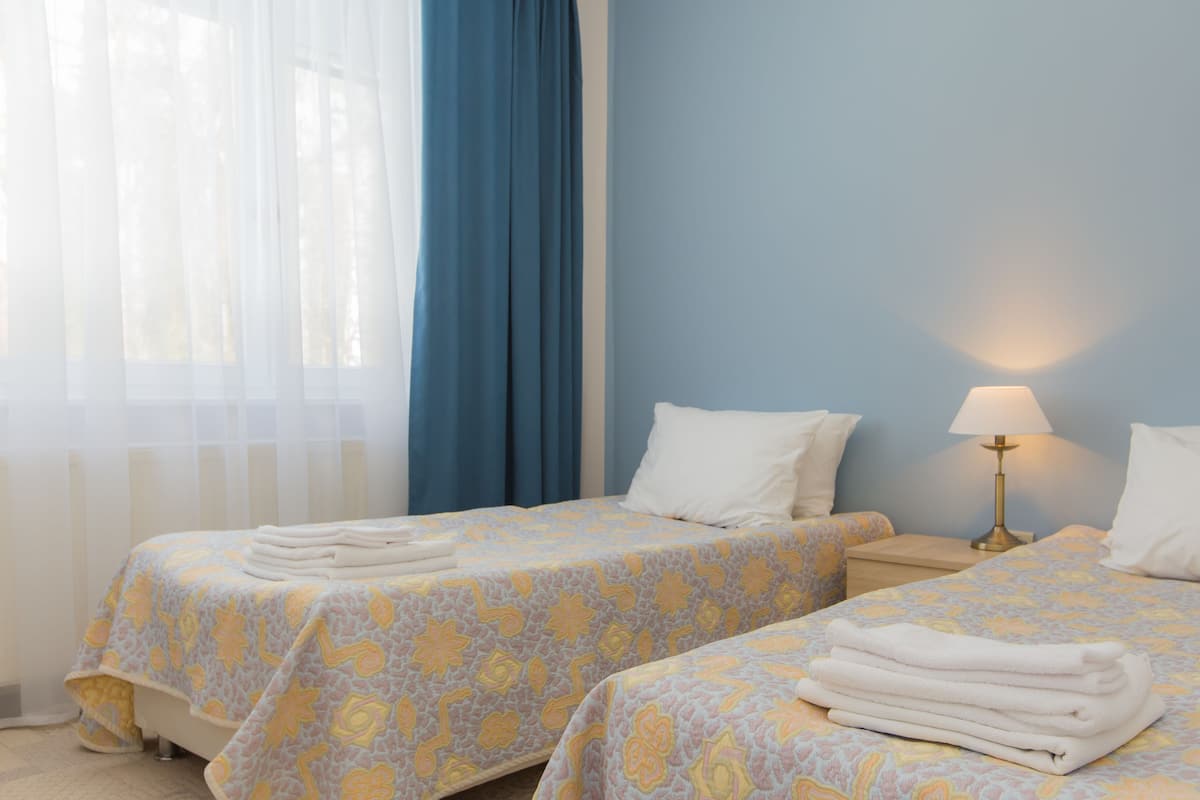 Economy Double or Twin Room, 1 Bedroom | Premium bedding, in-room safe, cribs/infant beds, free WiFi