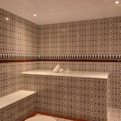 Un sauna, baño turco/hammam, tratamientos corporales