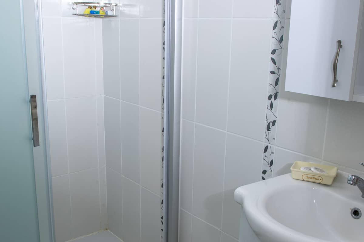 shower, free toiletries, hair dryer, slippers