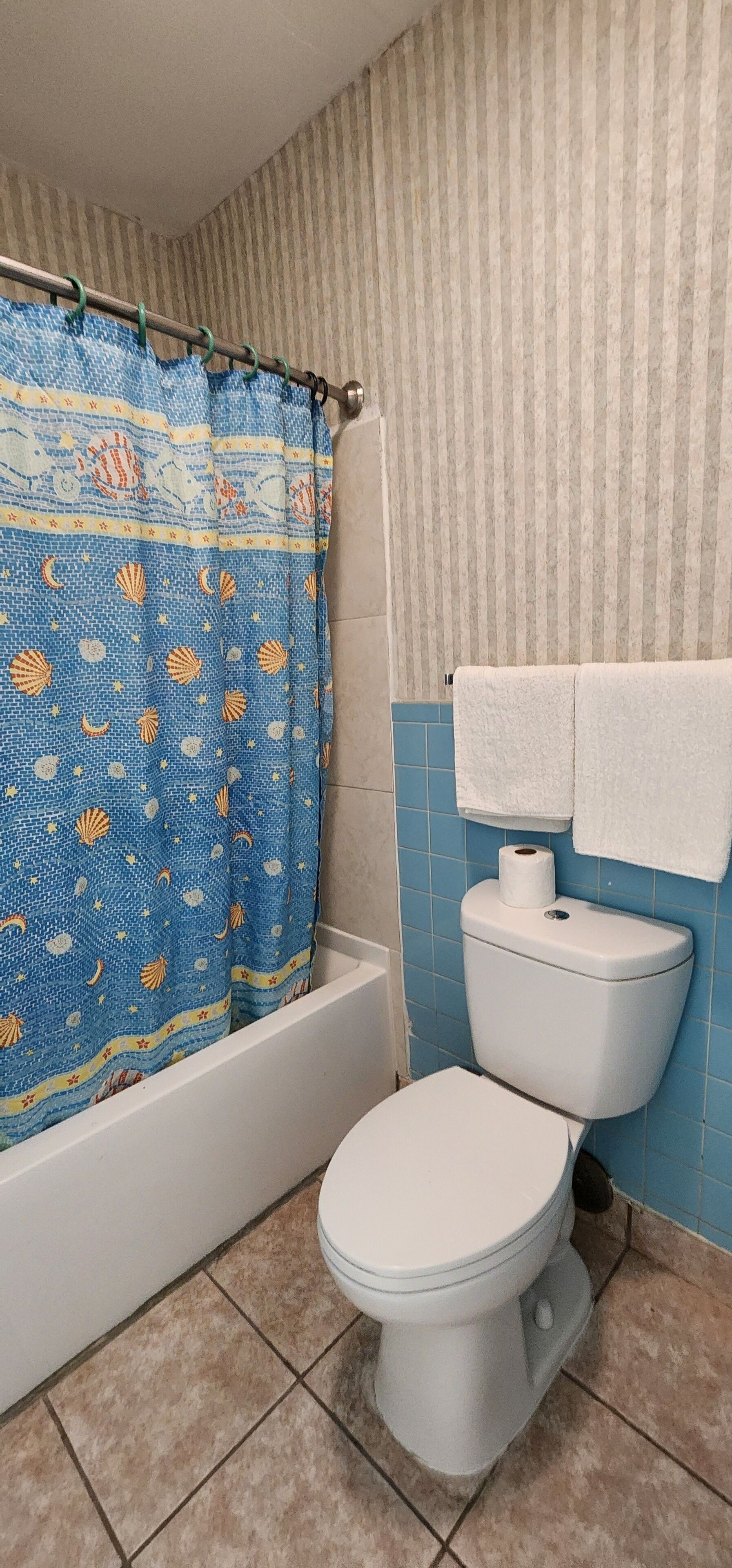 A bathroom with a blue shower curtain, a white toilet, and a blue-tiled wall.