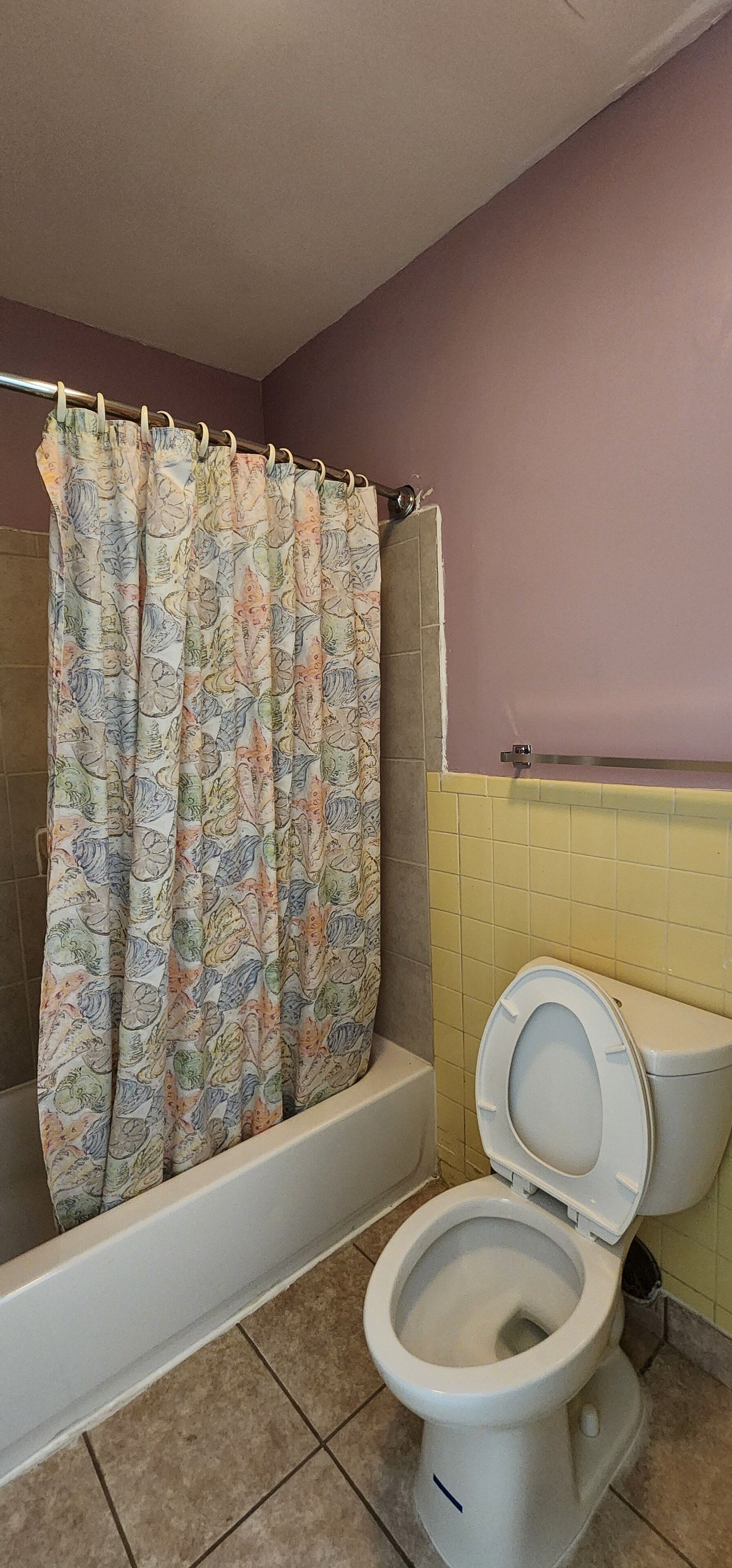 Une salle de bain avec une baignoire, des toilettes et un rideau de douche.