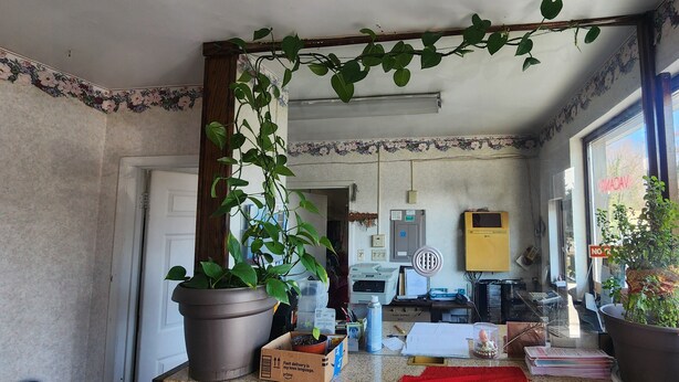 A room with a large window, a door, and various items including a potted plant, a box, and a desk with a computer. - Turnpike Motel Richmond VA by Hotel O US 60 (Richmond)
