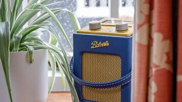 Rádio azul antigo com a marca 'Roberts' sobre uma superfície de madeira, ao lado de um vaso de planta.