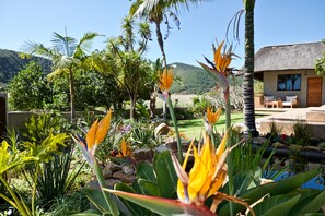 Luxury Room, 1 Bedroom, Non Smoking | Garden - Normarie's Guesthouse (Wilderness)