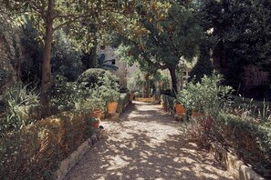 Classic Double Room | Terrace/patio